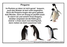 Pinguin.pdf